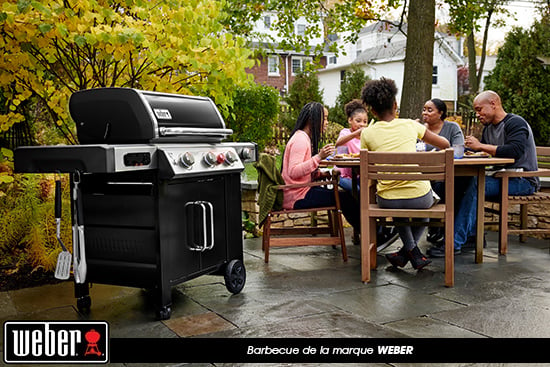 Barbecue Weber